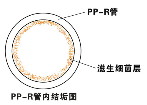 PP-R滲氧，易滋生細菌，有異味；腐蝕金屬連接件，降低使用壽命