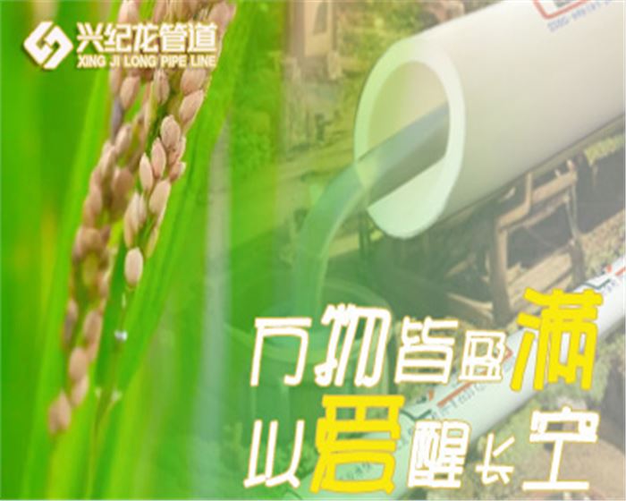 520愛的權利 只對你使用